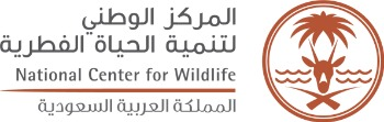 Partner Logo 11